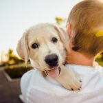 Conoce las ventajas y beneficios de adoptar una mascota